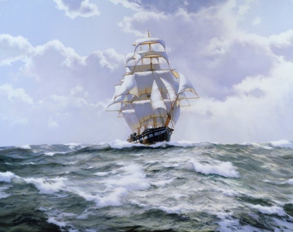 Royal Clipper регата