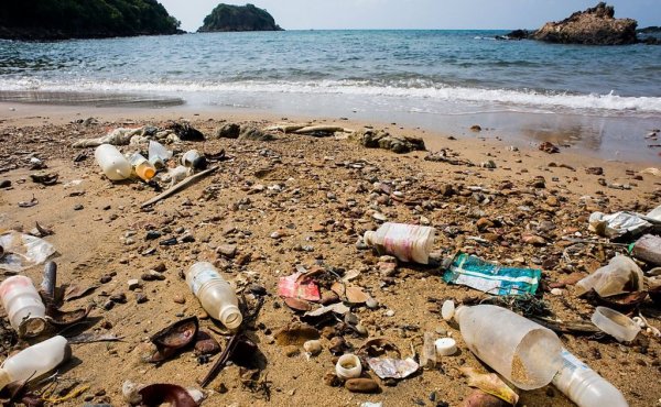 Грязный пляж на море