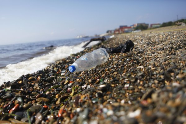 Экология моря