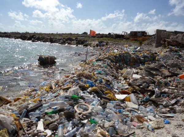 Загрязнение мирового океана промышленными отходами