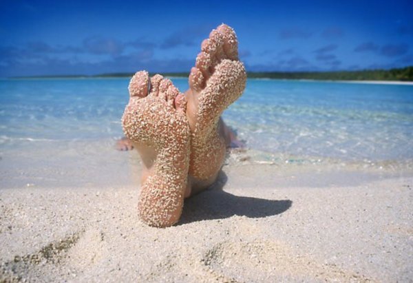 Счастливая жизнь море