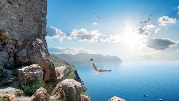 Скала Чайка Алупка