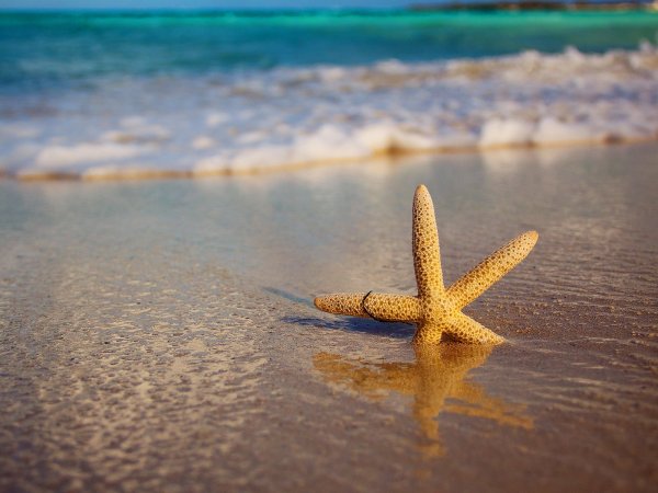 Пляж море песок