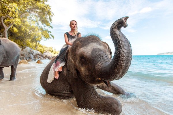 Девушка на слоне