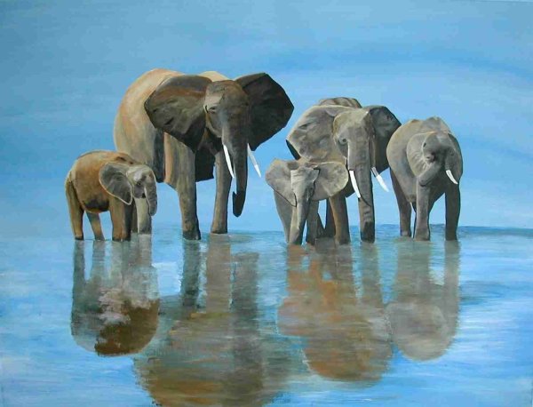 Слоненок на море