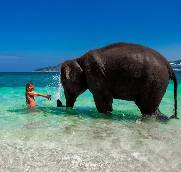 Михаил Коростелев National Geographic.