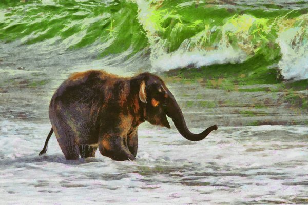 Слон силуэт фото