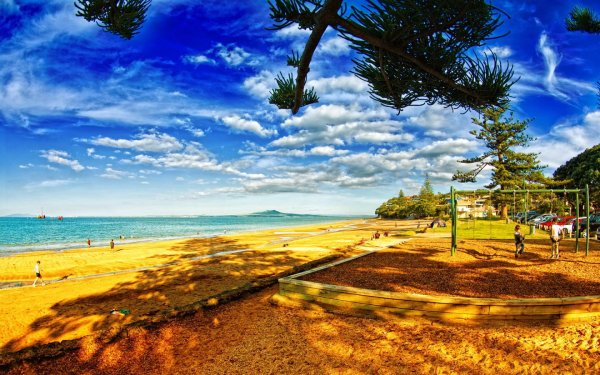 Пляж с красивыми цветами