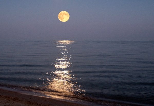 Восход Луны над морем