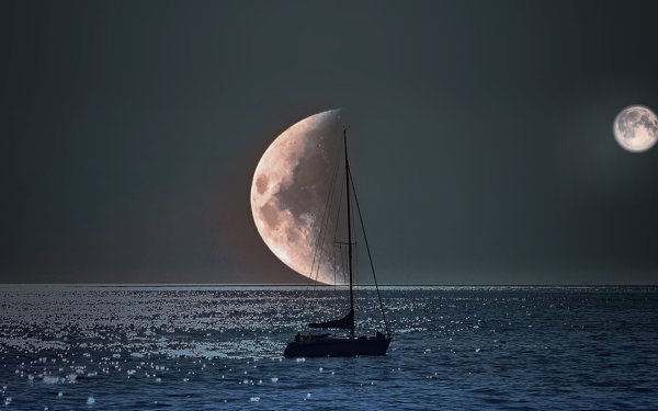 Сон сюрреализм