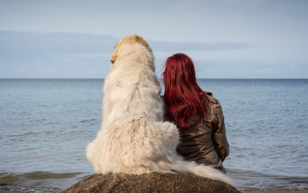 Фотосессия море собака девушка