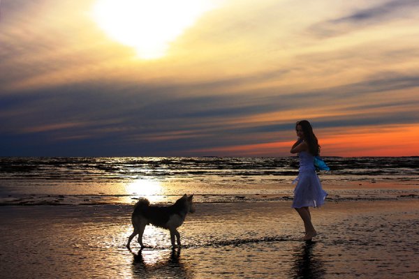 Девушка с собакой на пляже