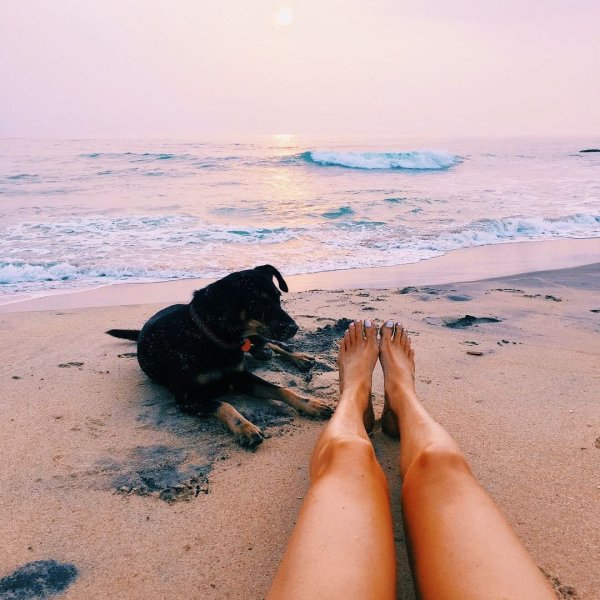 Девушка с собакой на море