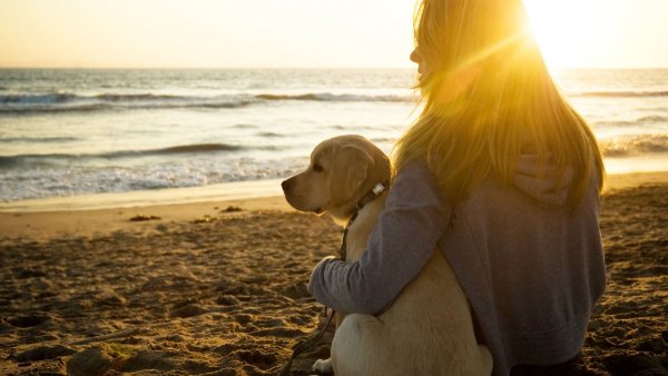 Девушка с собакой на море