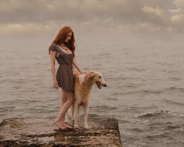 Давид Дубницкий