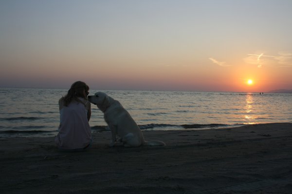 Девушка океан собака