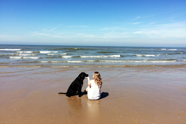 Девушка с собакой на берегу моря