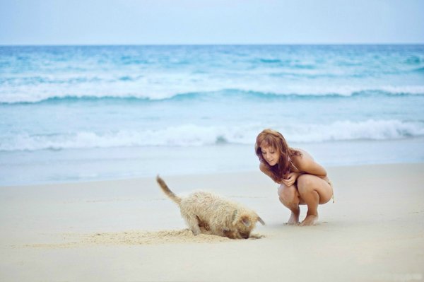 Девушка с собакой на море