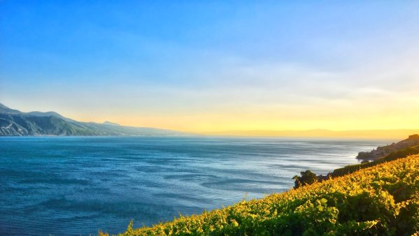 Горы Крыма море цветы