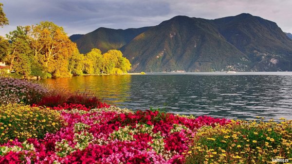 Коктебель Крым природа