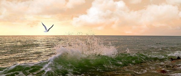 Море Прибой Чайки