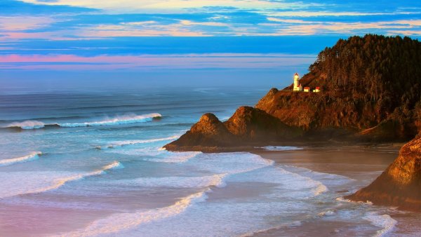 Флорида США природа