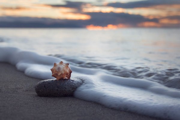 Умиротворяющий пейзаж