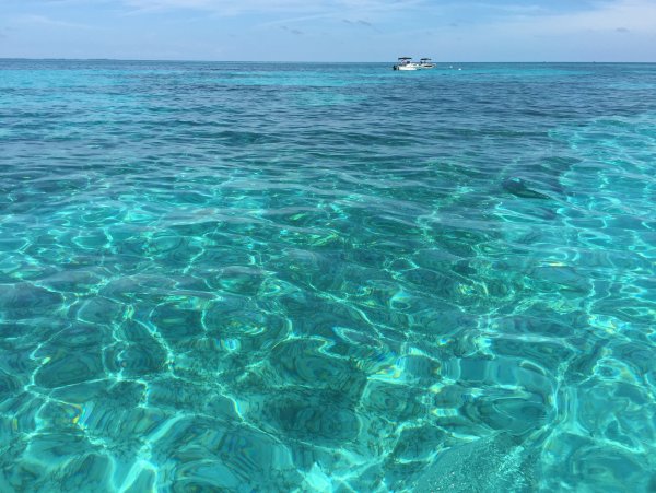 Голубое прозрачное море