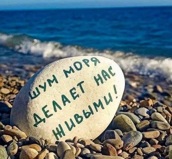 Море цитаты красивые