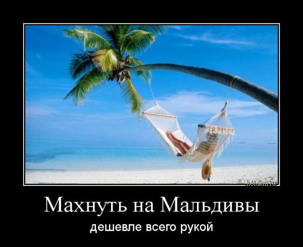 Мотиваторы позитивные смешные