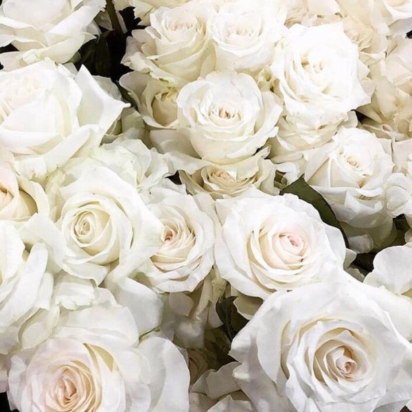 Нежный белый цвет