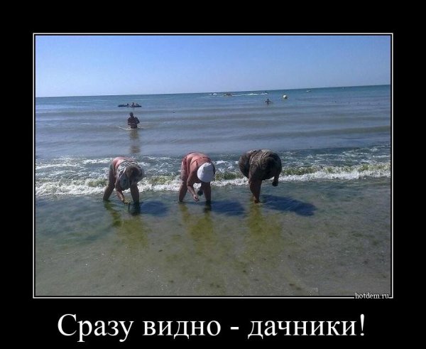 Демотиваторы про отдых на море