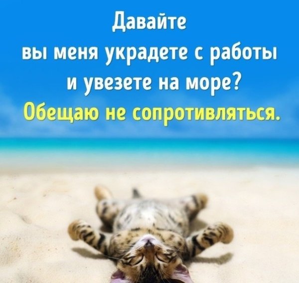 Заберите меня на море