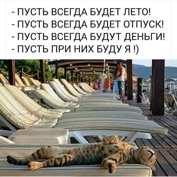Цитаты про лето