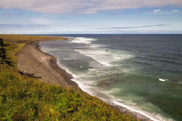 Берег белого моря