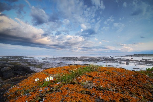 Архангельск природа белое море