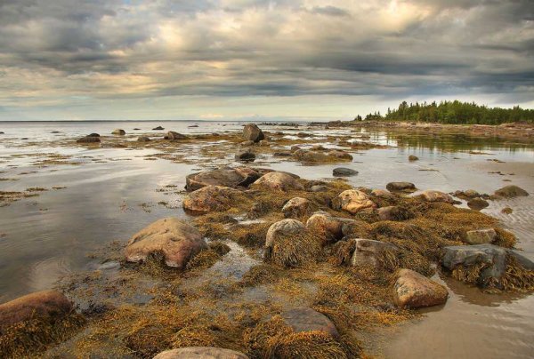Белое море Беломорск