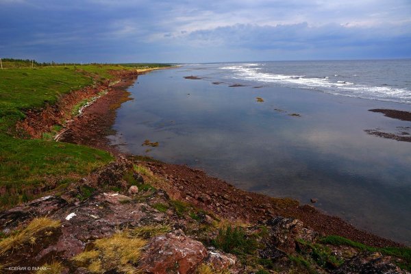 Южный берег белого моря