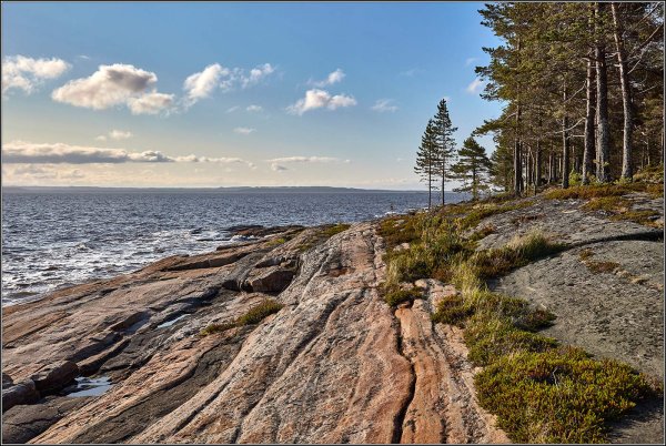 Берег Онега белое море