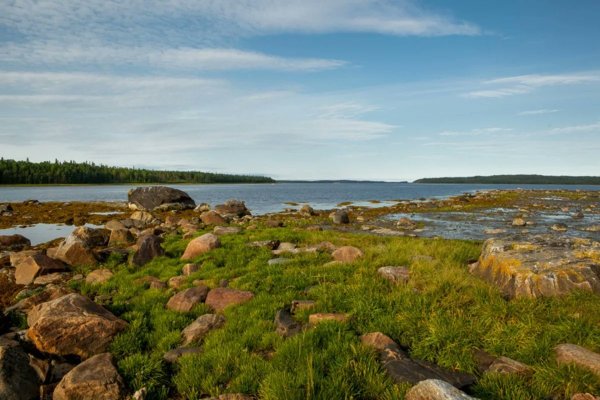 Белое море Карелия