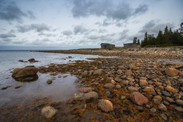 Онежское Поморье национальный парк Архангельской области