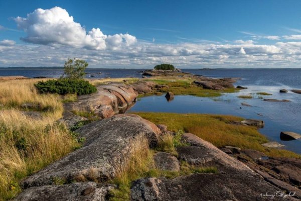 Карелия залив белого моря