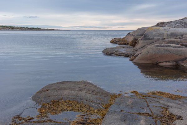 Губа Воньга белое море