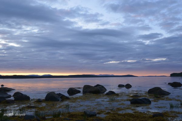 Белое море Санкт-Петербург