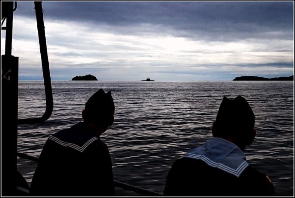 Ушла в море