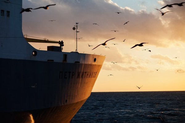 Севастопольские моряки