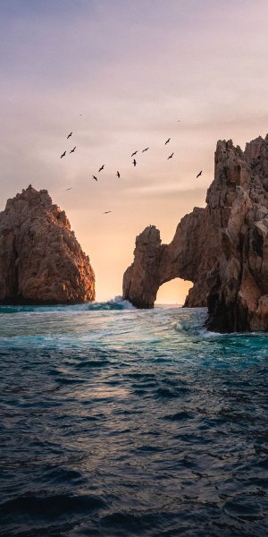 Природа скалы