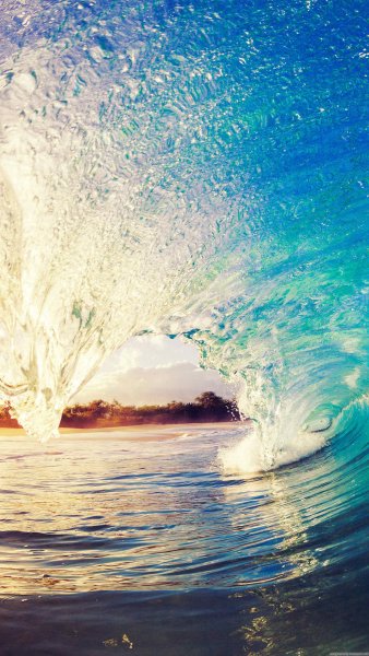 Свежесть океана