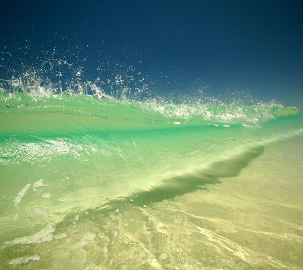 Океан пальмы вид сверху