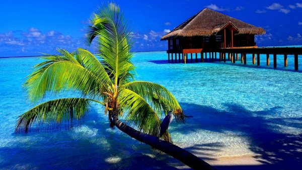 Море, волны